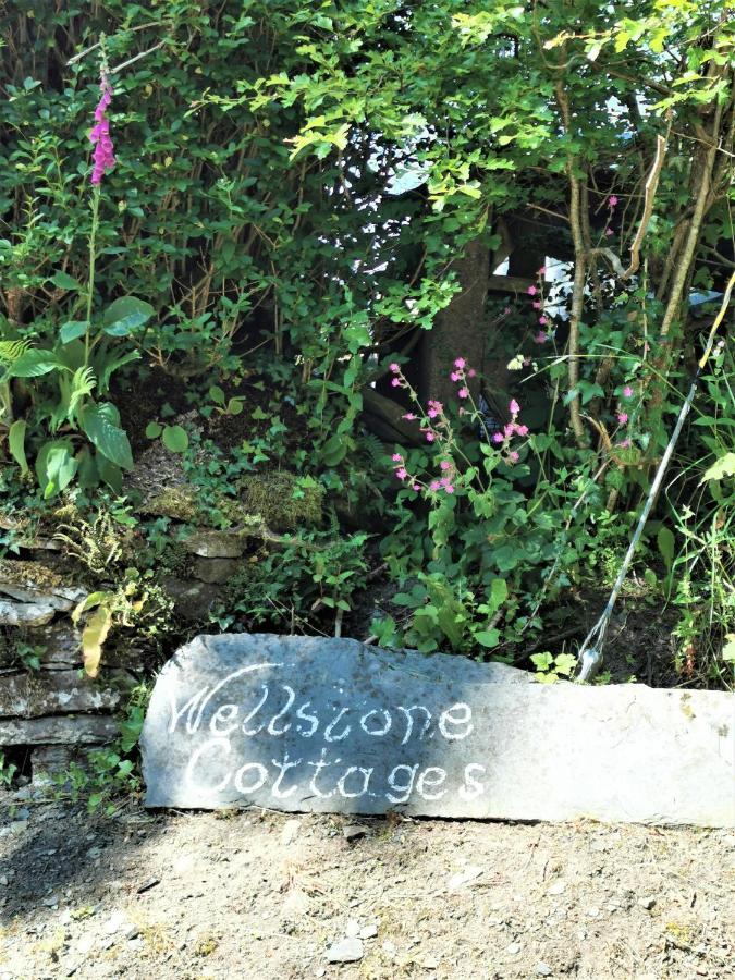 Wellstone Cottages - Jasmine Llanfyrnach Zewnętrze zdjęcie